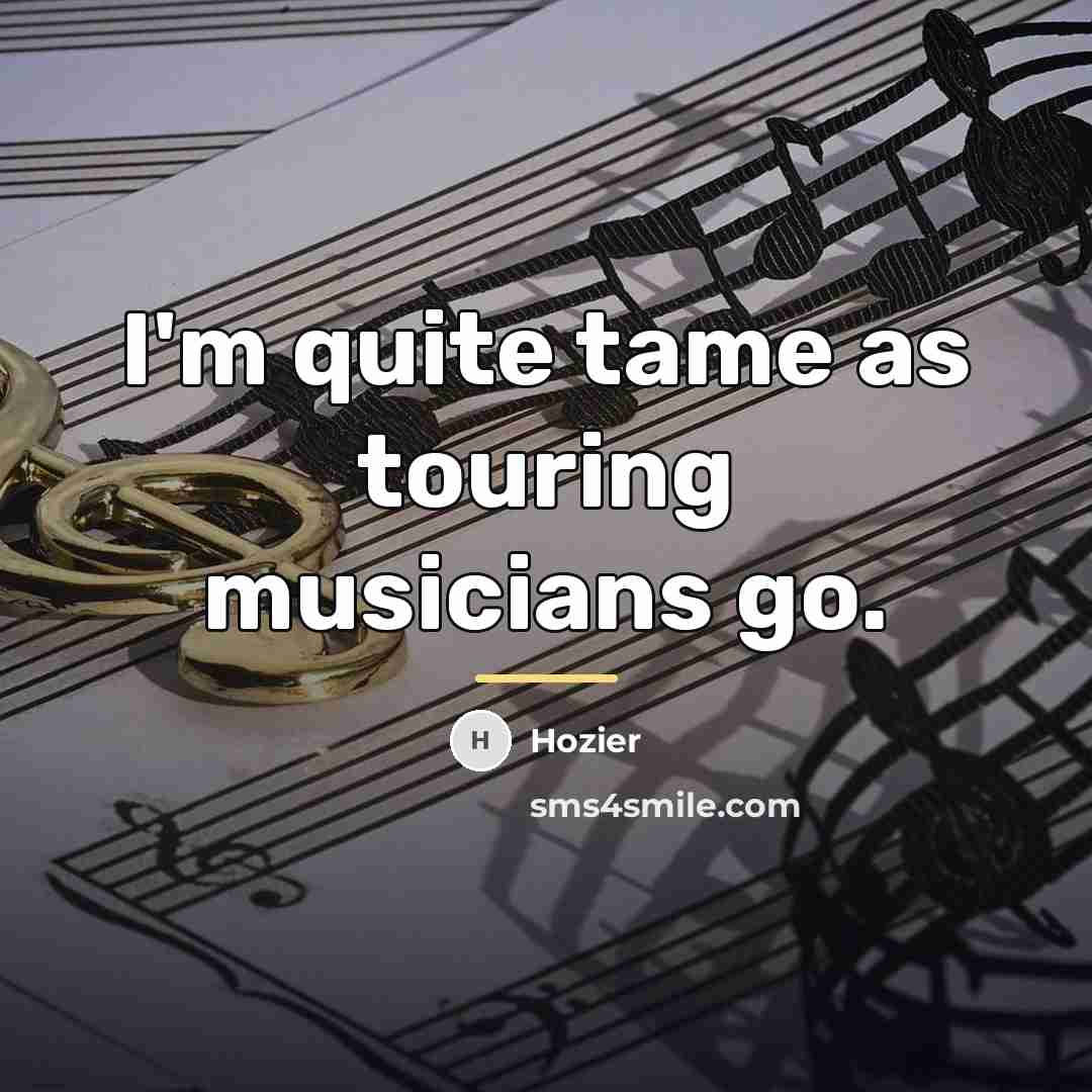 “I'm quite tame as touring musicians go.…” quote by Hozier