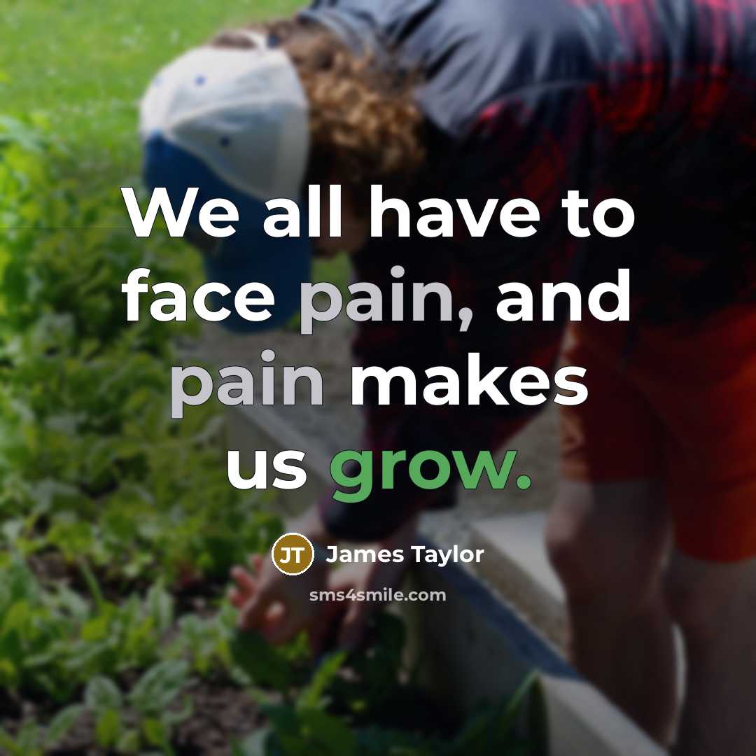 “We all have to face pain, and pain makes us grow.” quote by James Taylor