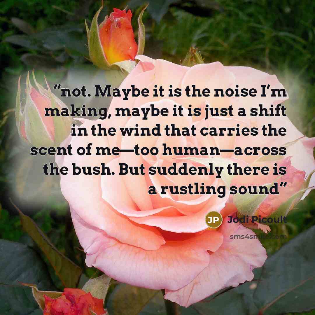 “not. Maybe it is the noise I’m making, maybe it is just a shift in the wind that carries the scent of me—too human—across the bush. But suddenly there is a rustling sound” quote by Jodi Picoult