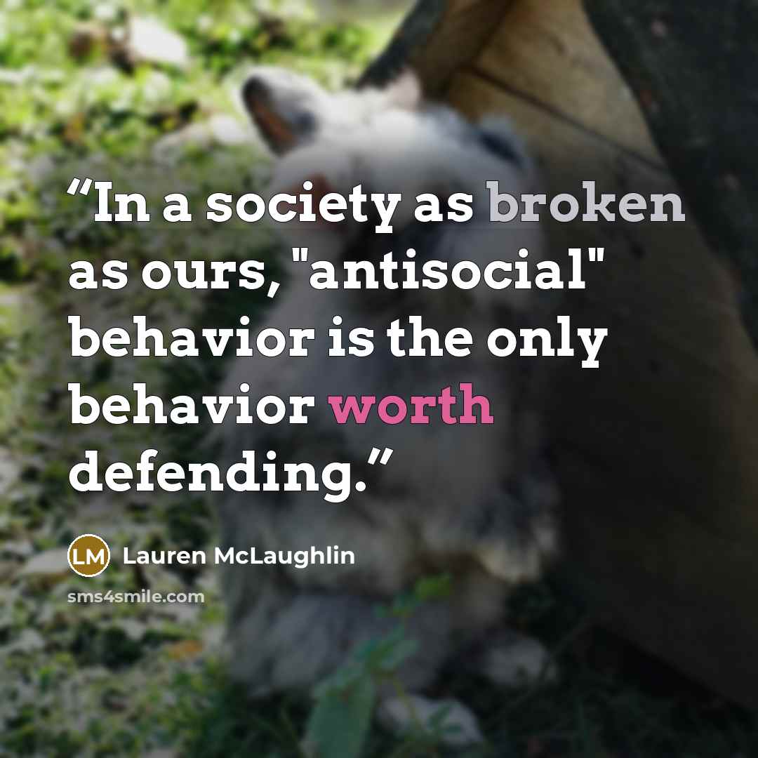 “In a society as broken as ours, "antisocial" behavior is the only behavior worth defending.” quote by Lauren McLaughlin