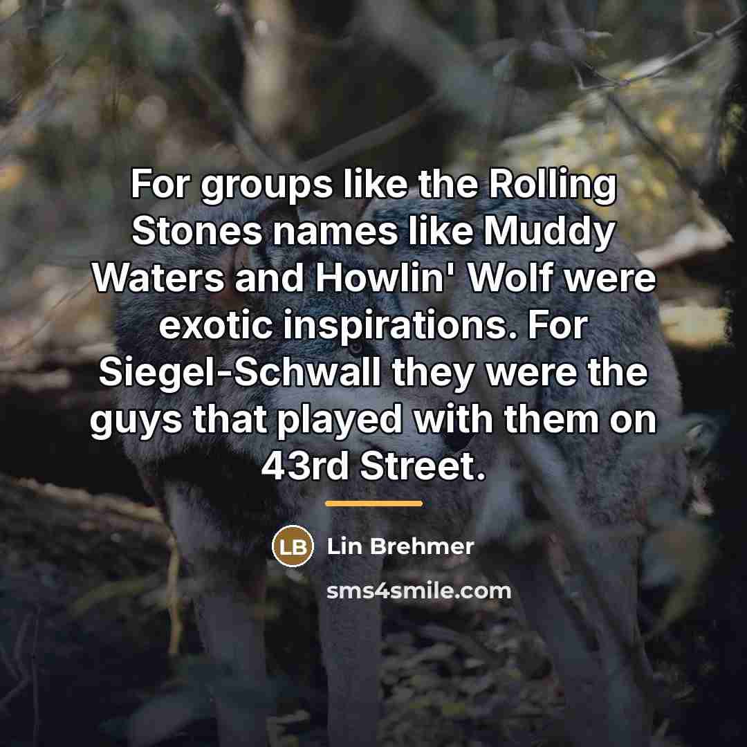 “For groups like the Rolling Stones names like Muddy Waters…” quote by Lin Brehmer