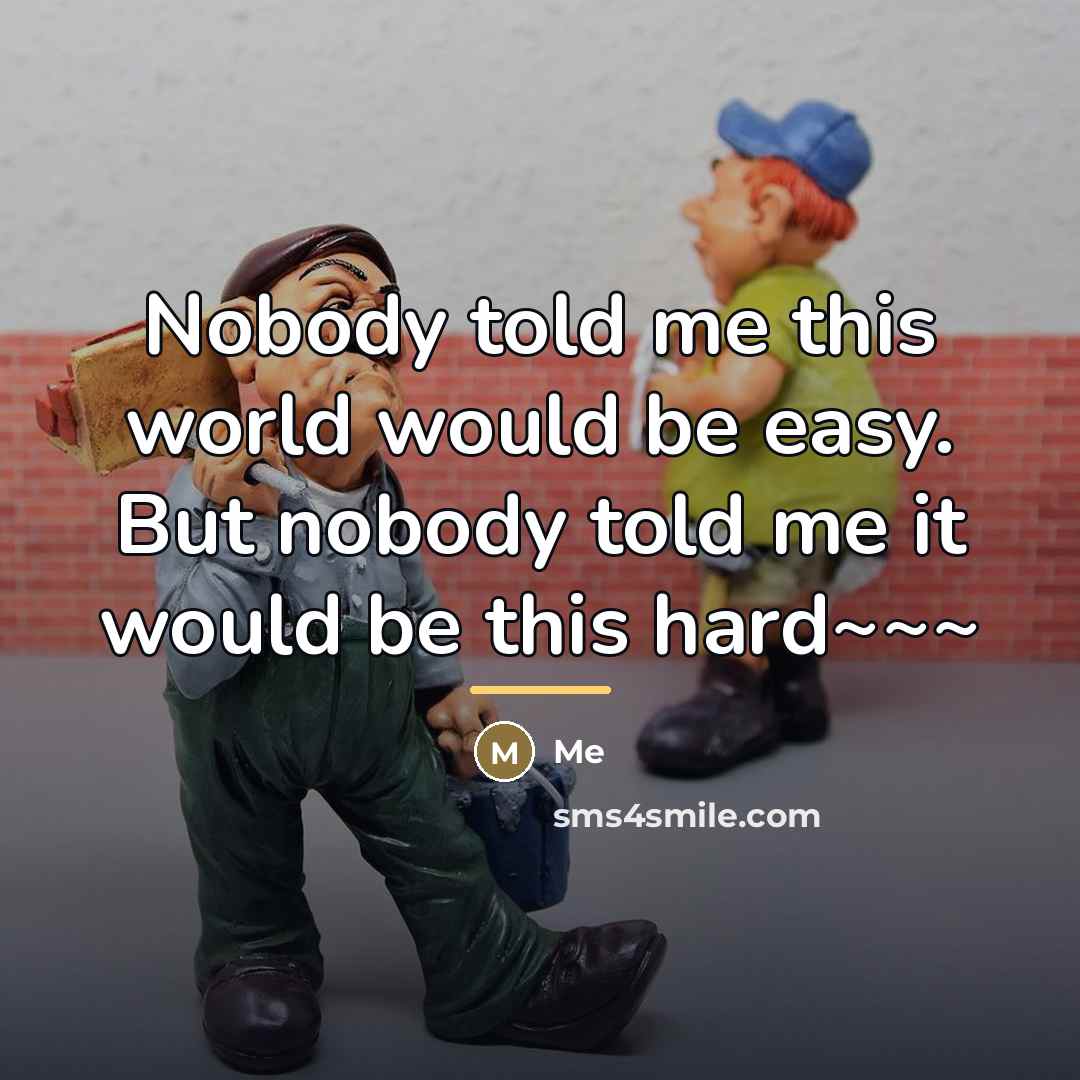 “Nobody told me this world would be easy. But nobody…” quote by Me