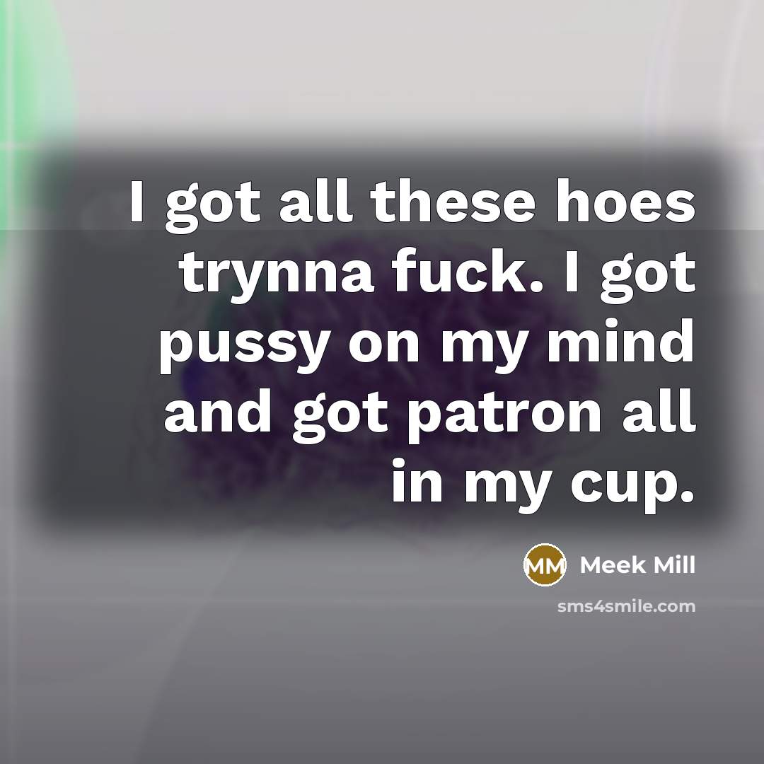 “I got all these hoes trynna fuck. I got pussy on my mind and got patron all in my cup.” quote by Meek Mill