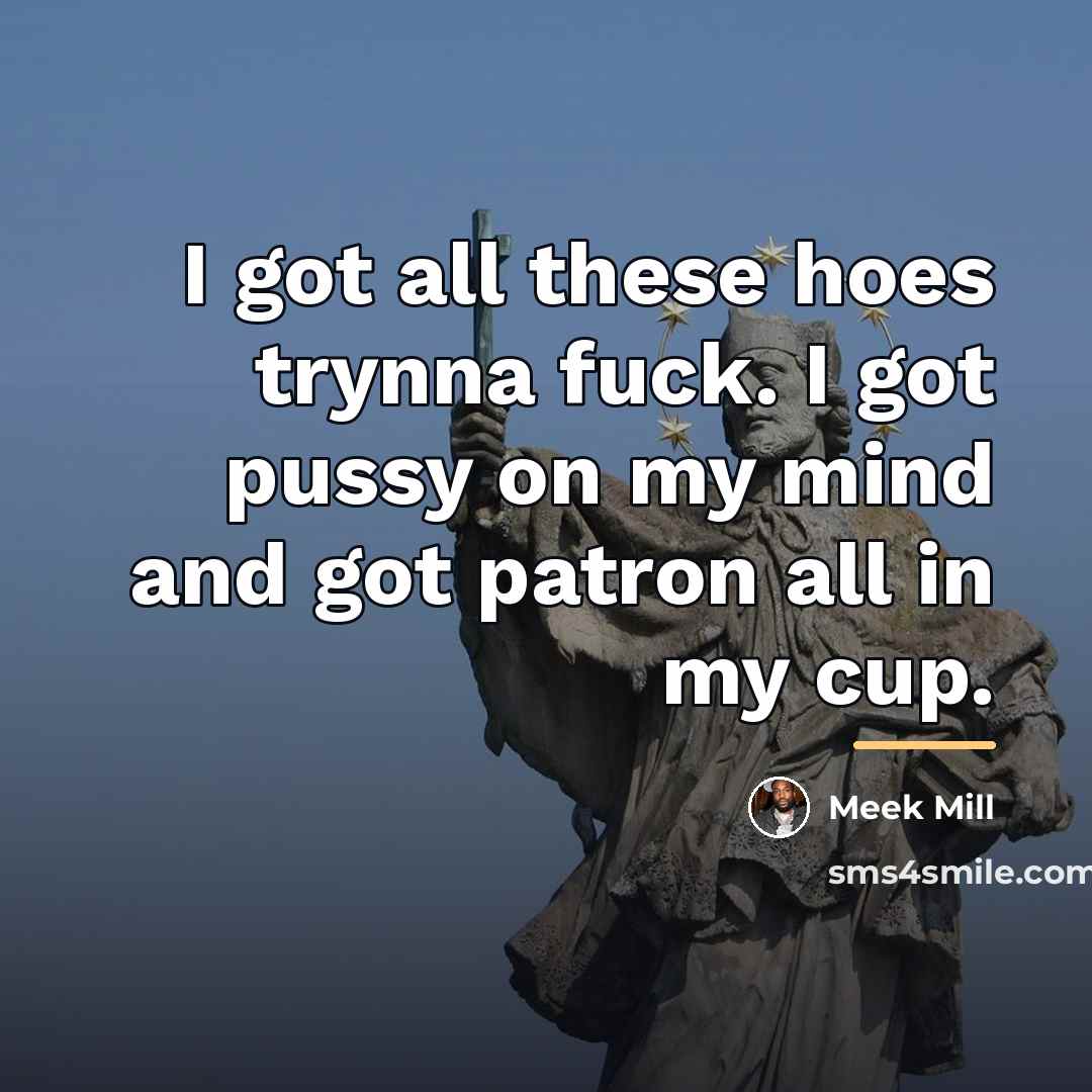 “I got all these hoes trynna fuck. I got pussy…” quote by Meek Mill