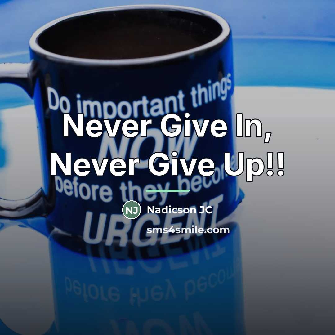 “Never Give In, Never Give Up!!…” quote by Nadicson JC