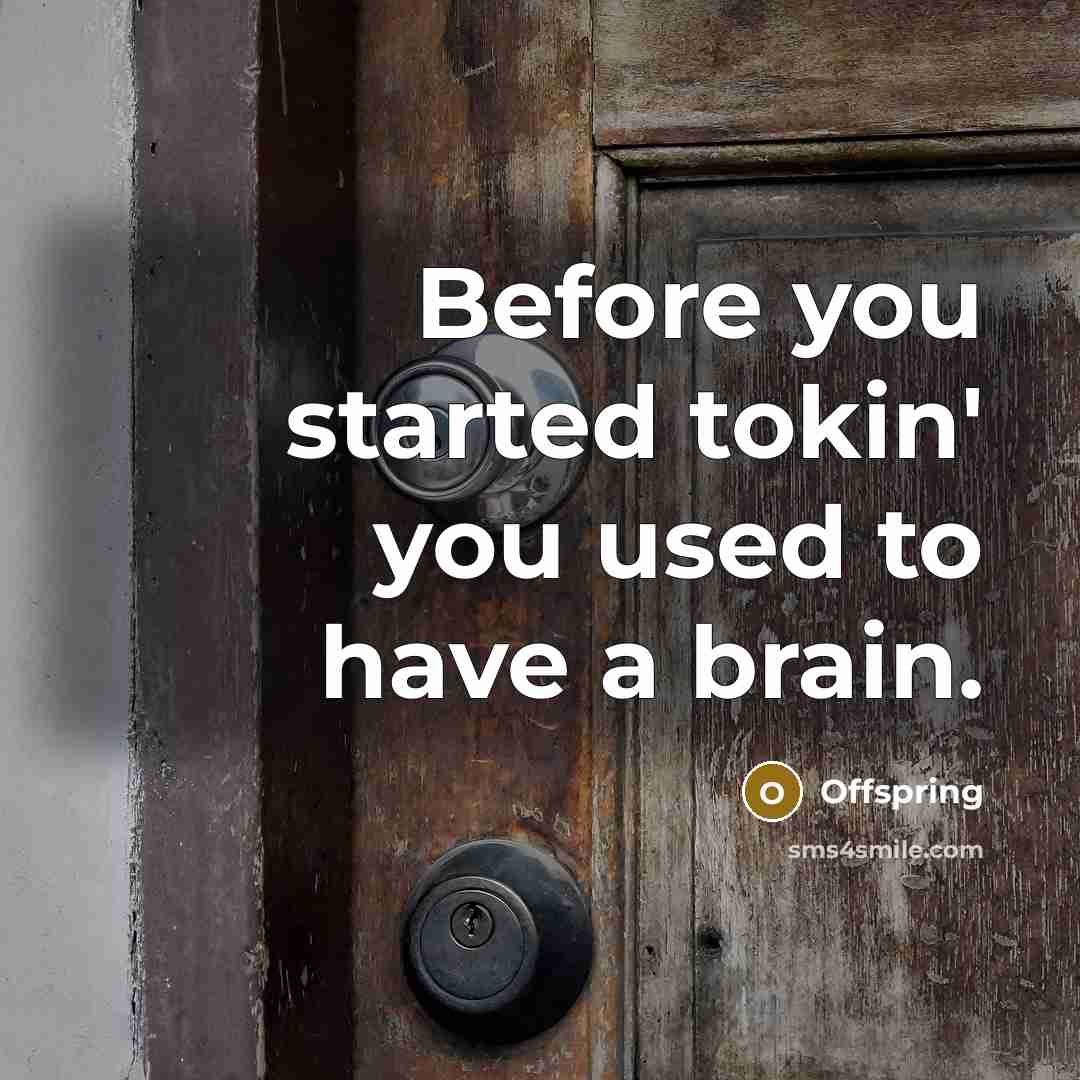 “Before you started tokin' you used to have a brain.…” quote by Offspring