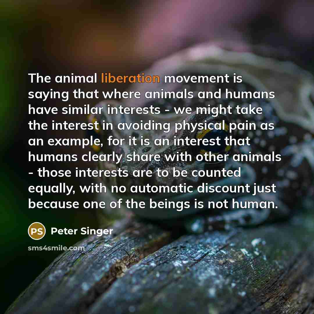 “The animal liberation movement is saying that where animals and…” quote by Peter Singer