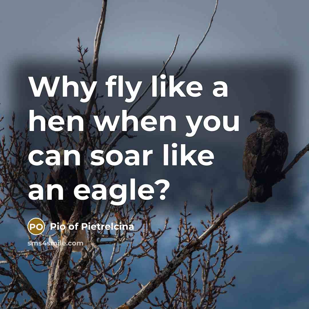 “Why fly like a hen when you can soar like…” quote by Pio of Pietrelcina