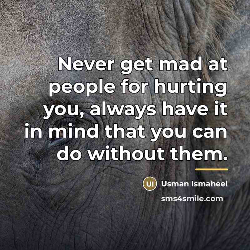 “Never get mad at people for hurting you, always have…” quote by Usman Ismaheel
