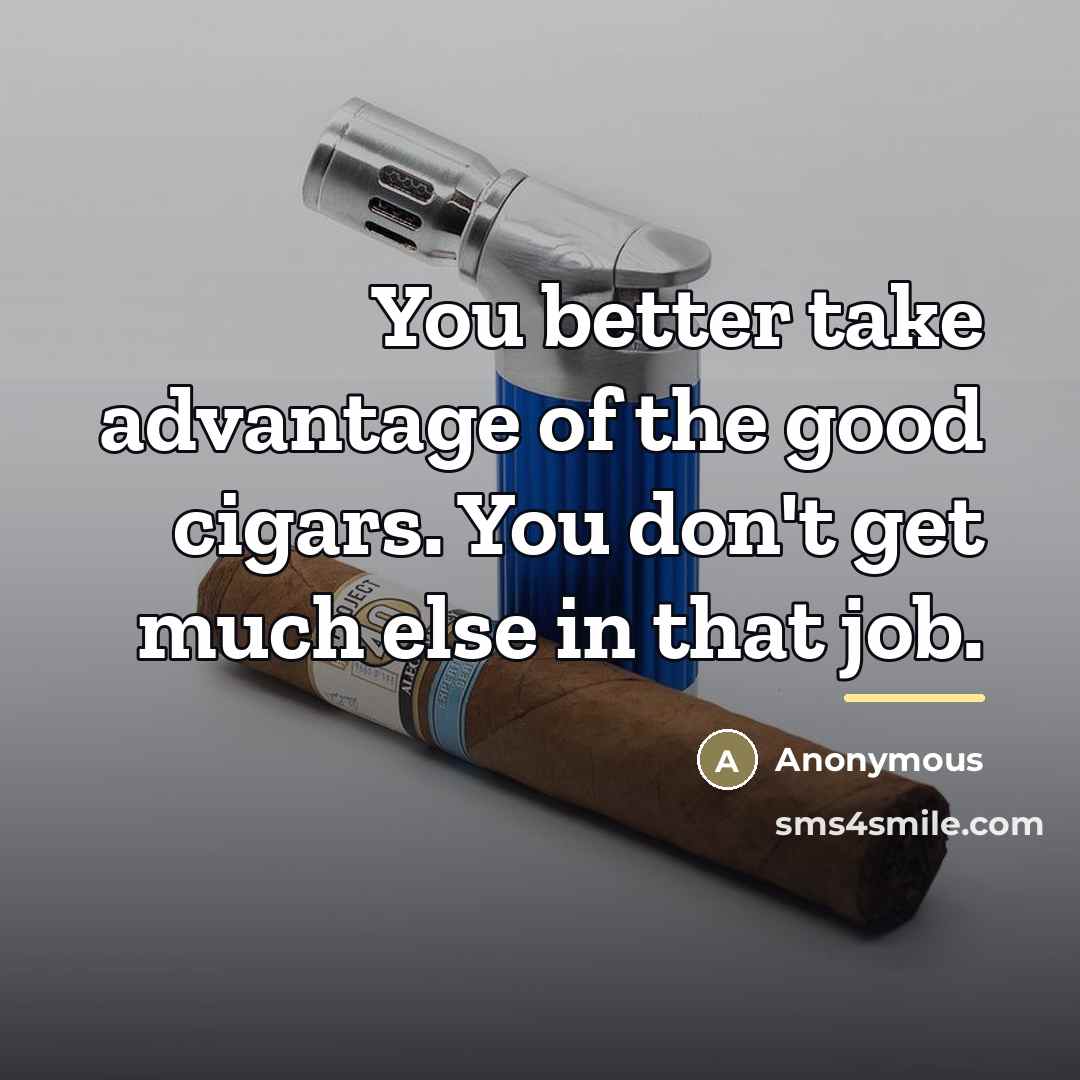 “You better take advantage of the good cigars. You don't…” quote by Anonymous