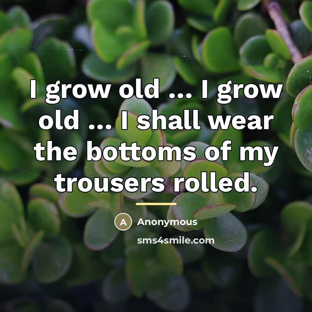 “I grow old … I grow old … I shall…” quote by Anonymous