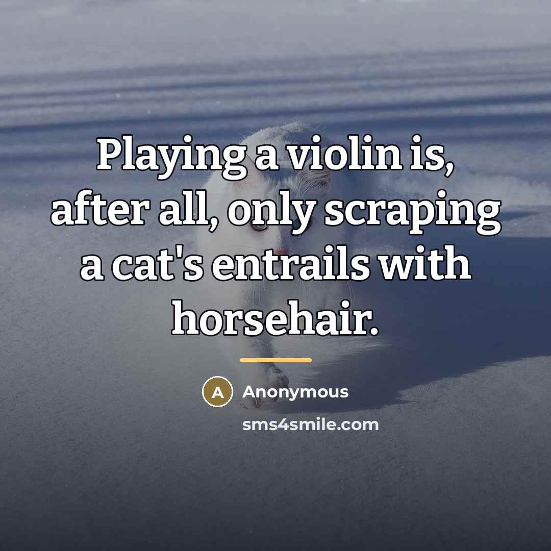 “Playing a violin is, after all, only scraping a cat's…” quote by Anonymous