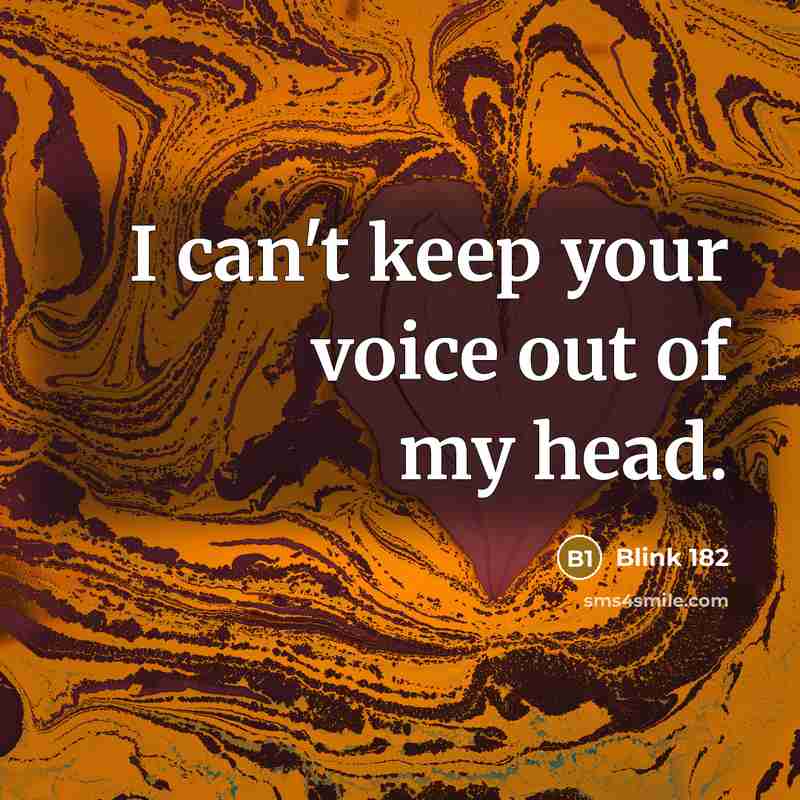 “I can't keep your voice out of my head.…” quote by Blink 182
