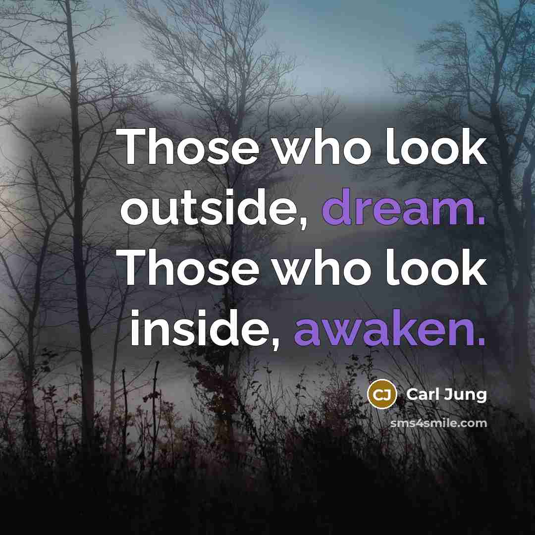 “Those who look outside, dream. Those who look inside, awaken.” quote by Carl Jung