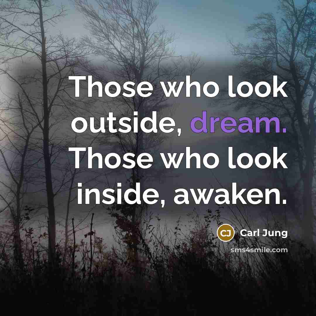 “Those who look outside, dream. Those who look inside, awaken.…” quote by Carl Jung