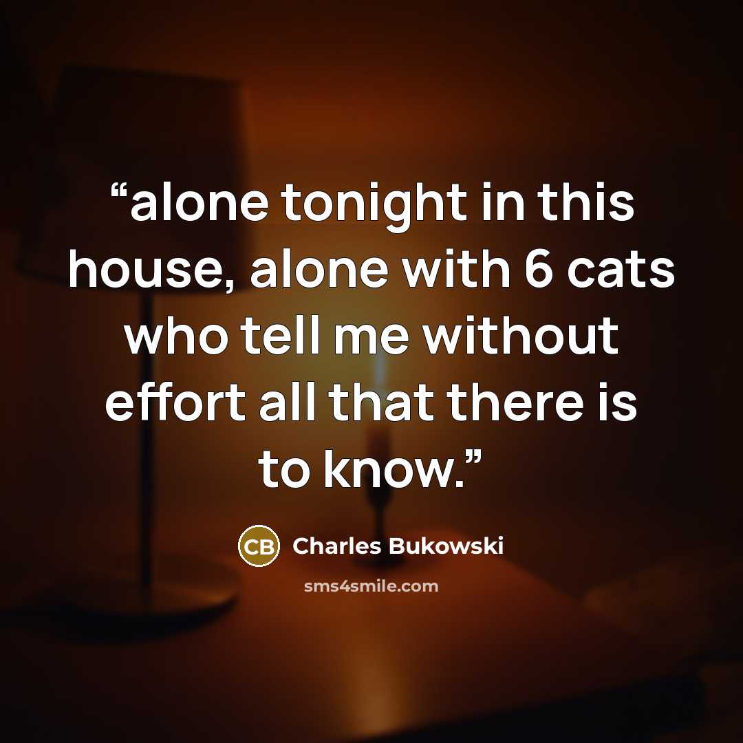 “alone tonight in this house, alone with 6 cats who tell me without effort all that there is to know.” quote by Charles Bukowski