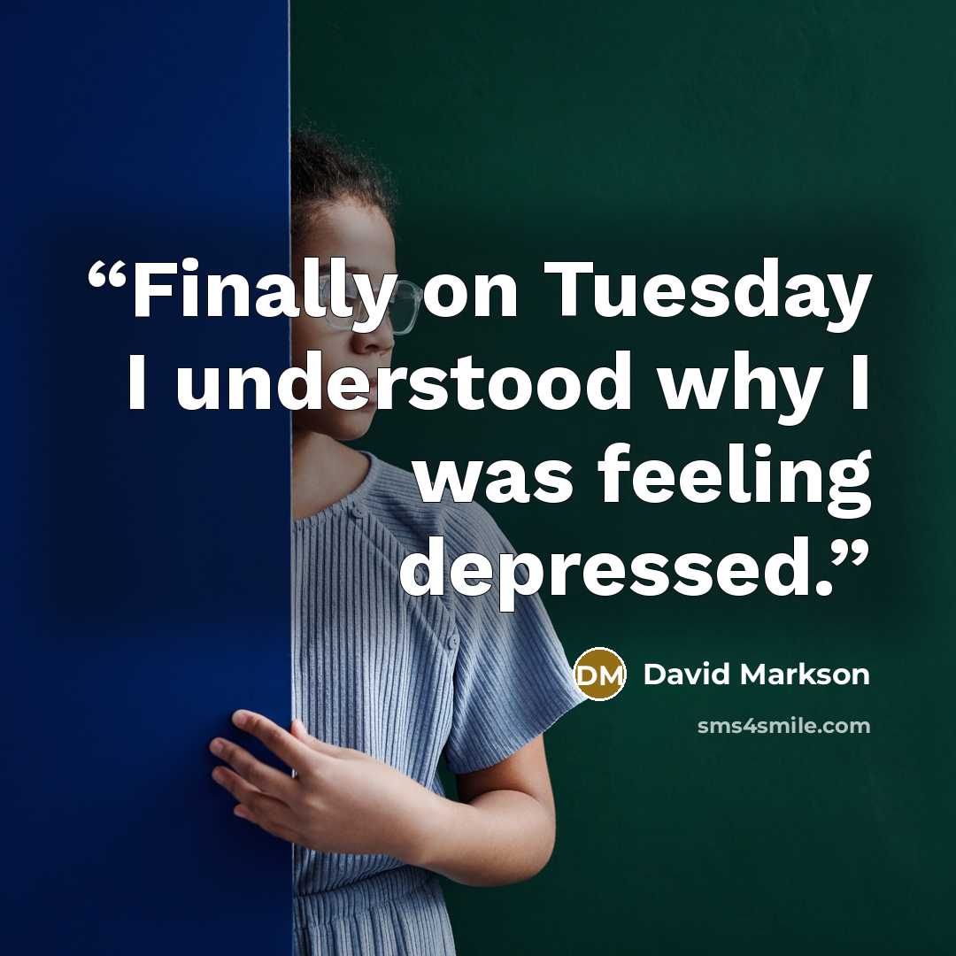 “Finally on Tuesday I understood why I was feeling depressed.” quote by David Markson