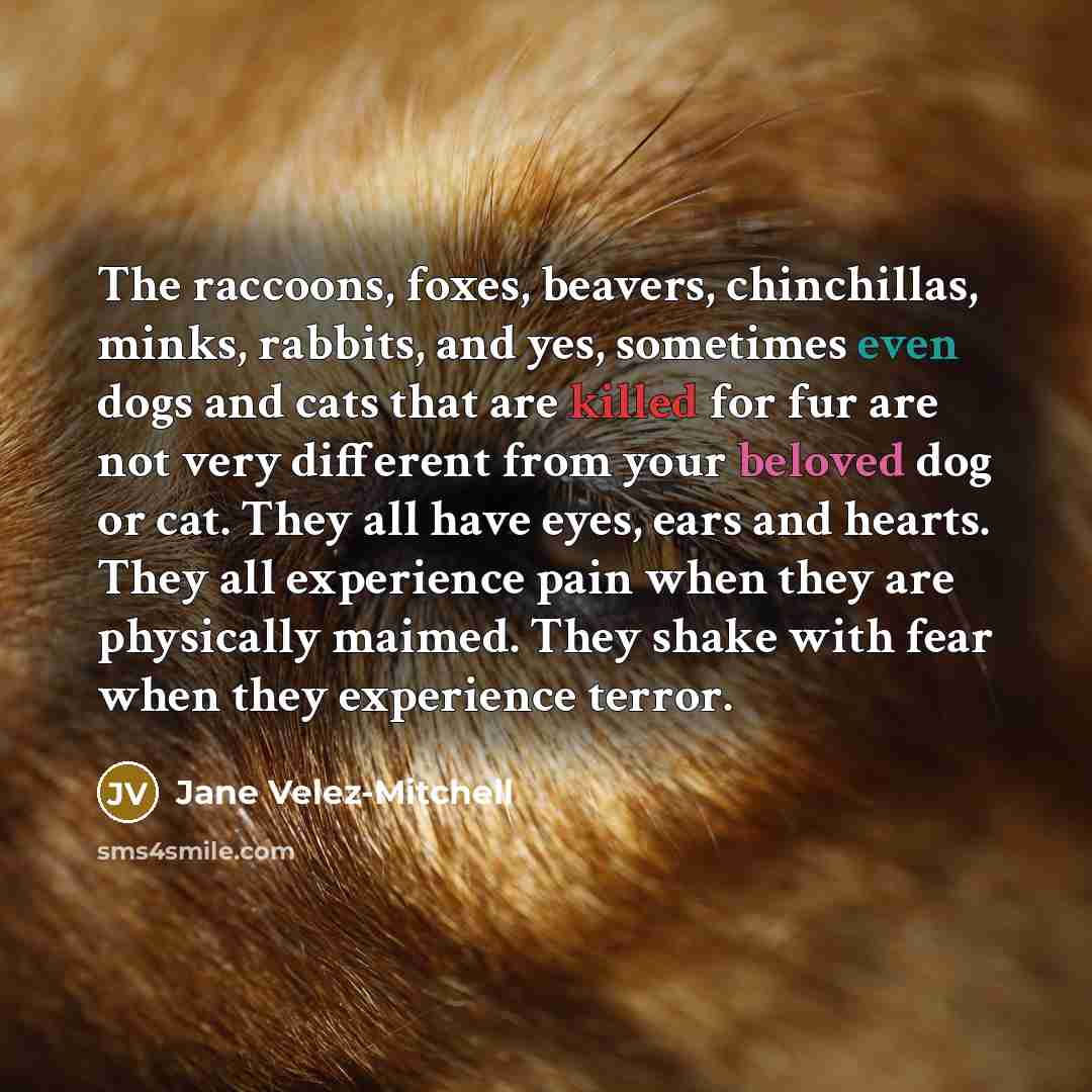 “The raccoons, foxes, beavers, chinchillas, minks, rabbits, and yes, sometimes…” quote by Jane Velez-Mitchell