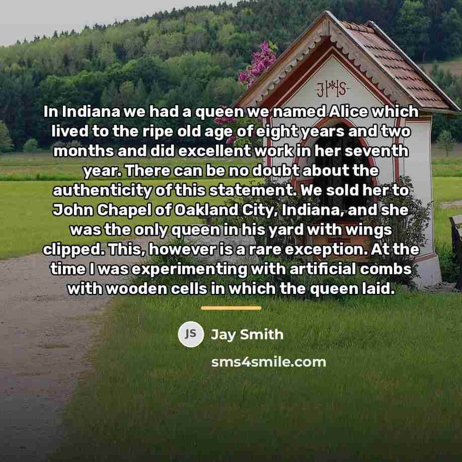 “In Indiana we had a queen we named Alice which…” quote by Jay Smith