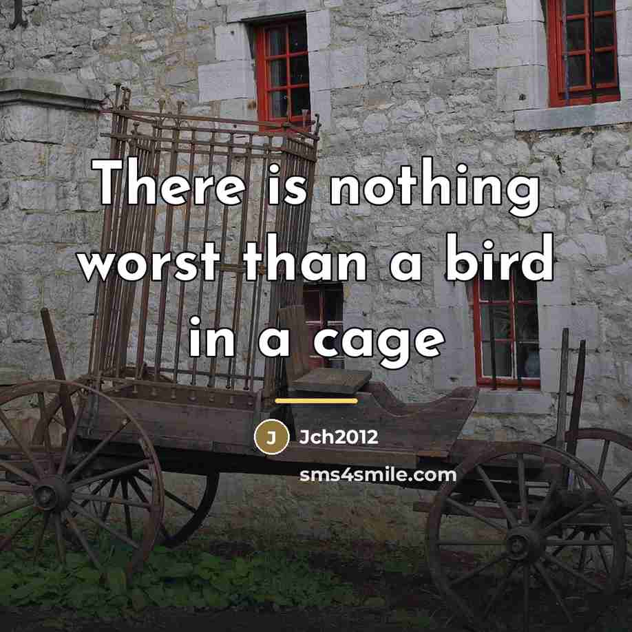 “There is nothing worst than a bird in a cage…” quote by Jch2012