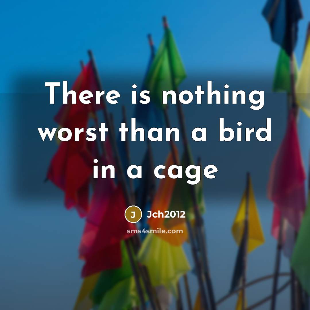 “There is nothing worst than a bird in a cage” quote by Jch2012