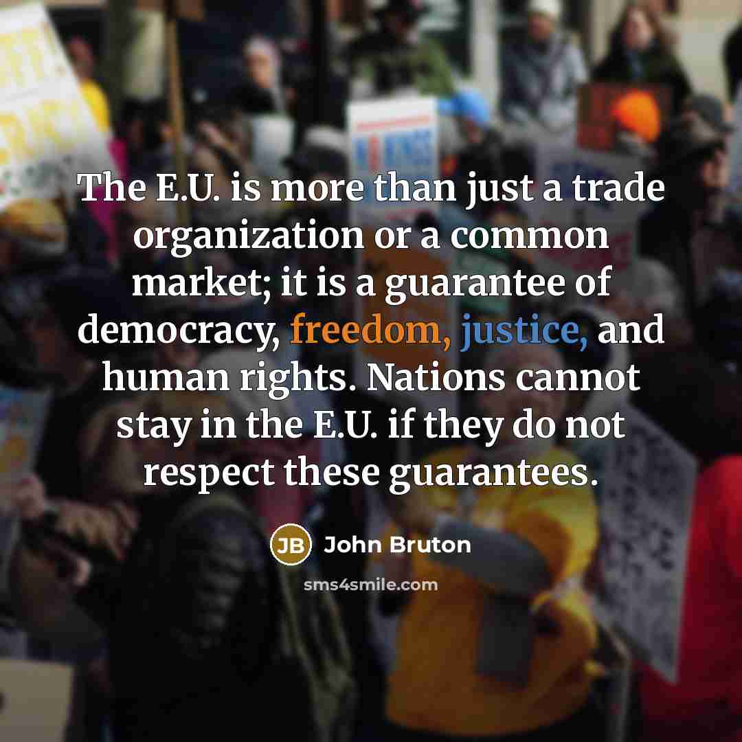“The E.U. is more than just a trade organization or…” quote by John Bruton