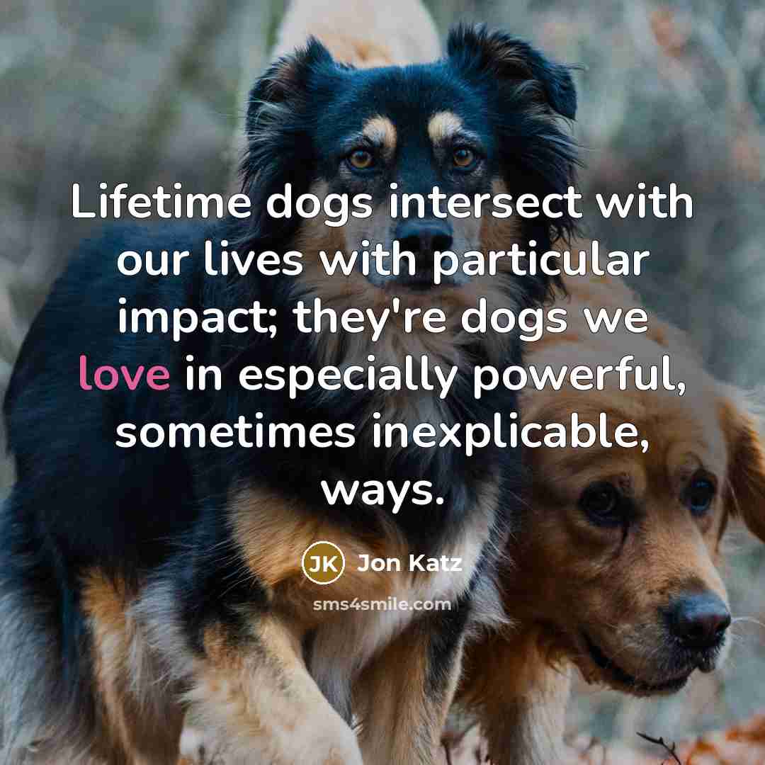 “Lifetime dogs intersect with our lives with particular impact; they're…” quote by Jon Katz