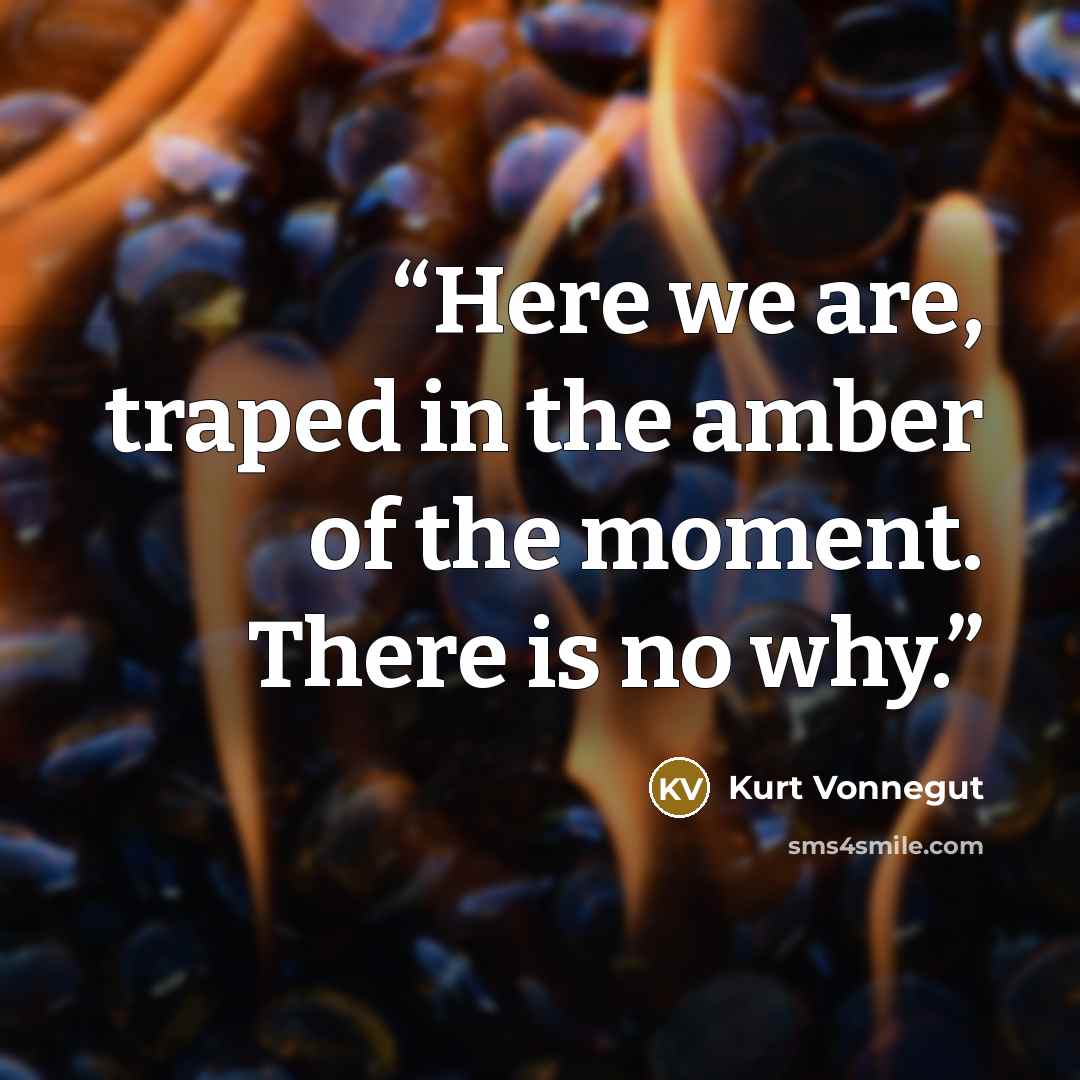 “Here we are, traped in the amber of the moment. There is no why.” quote by Kurt Vonnegut