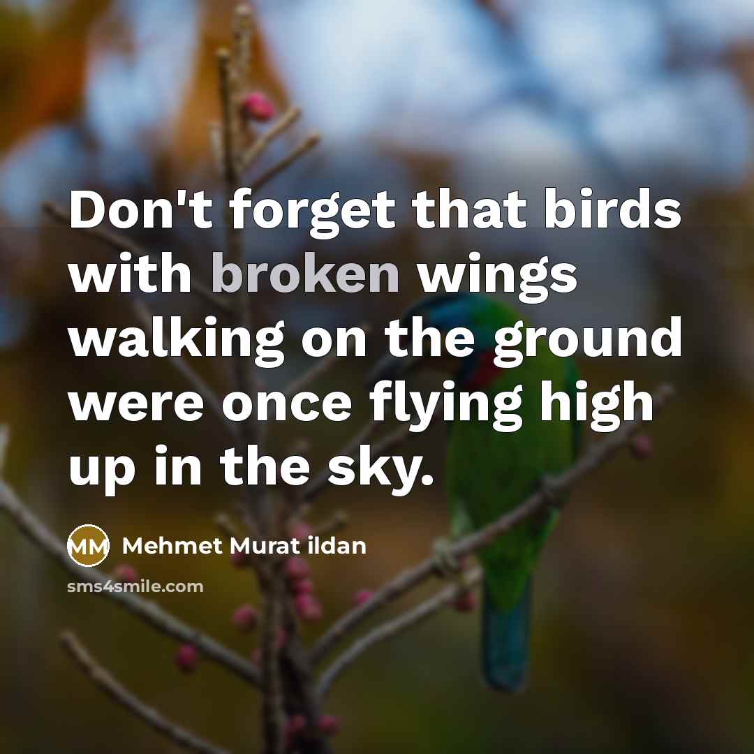 “Don't forget that birds with broken wings walking on the…” quote by Mehmet Murat Ildan