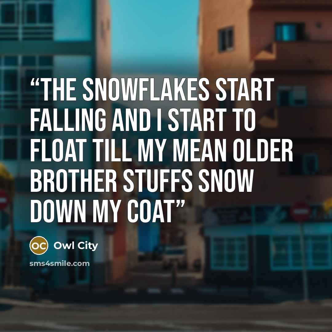“The snowflakes start falling and I start to float Till my mean older brother stuffs snow down my coat” quote by Owl City