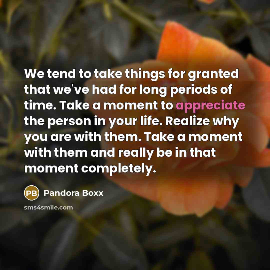 “We tend to take things for granted that we've had…” quote by Pandora Boxx