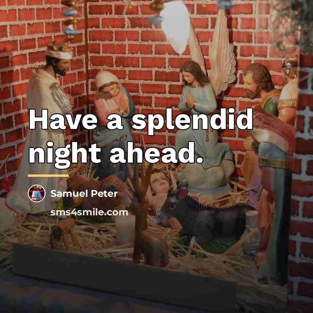 “Have a splendid night ahead.…” quote by Samuel Peter