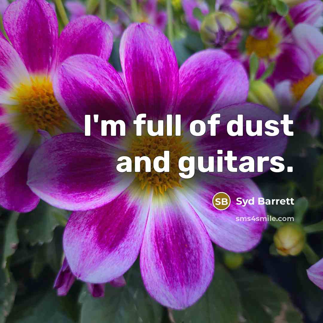 “I'm full of dust and guitars.…” quote by Syd Barrett