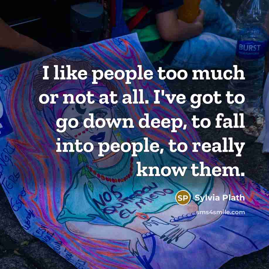 “I like people too much or not at all. I've…” quote by Sylvia Plath