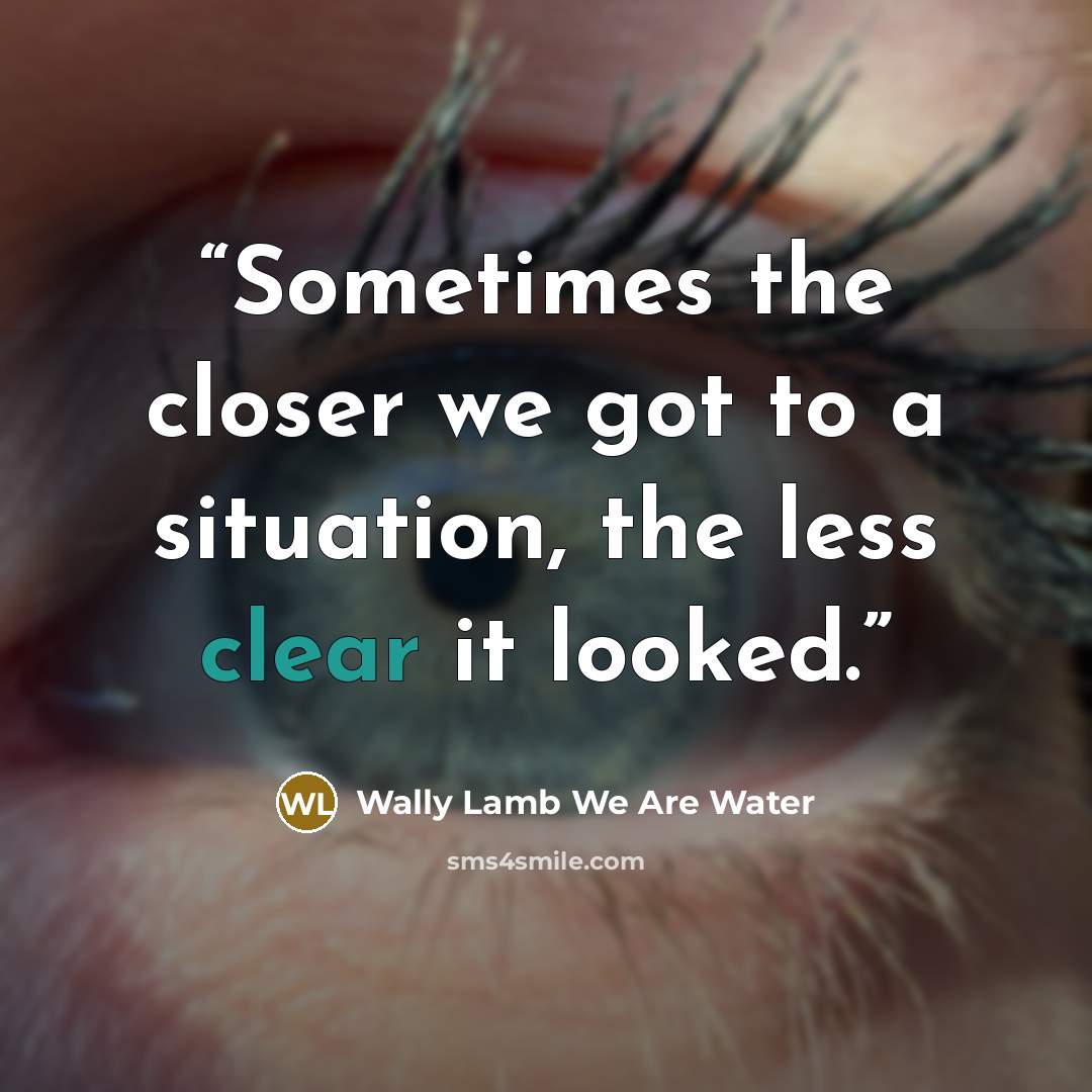 “Sometimes the closer we got to a situation, the less clear it looked.” quote by Wally Lamb We Are Water
