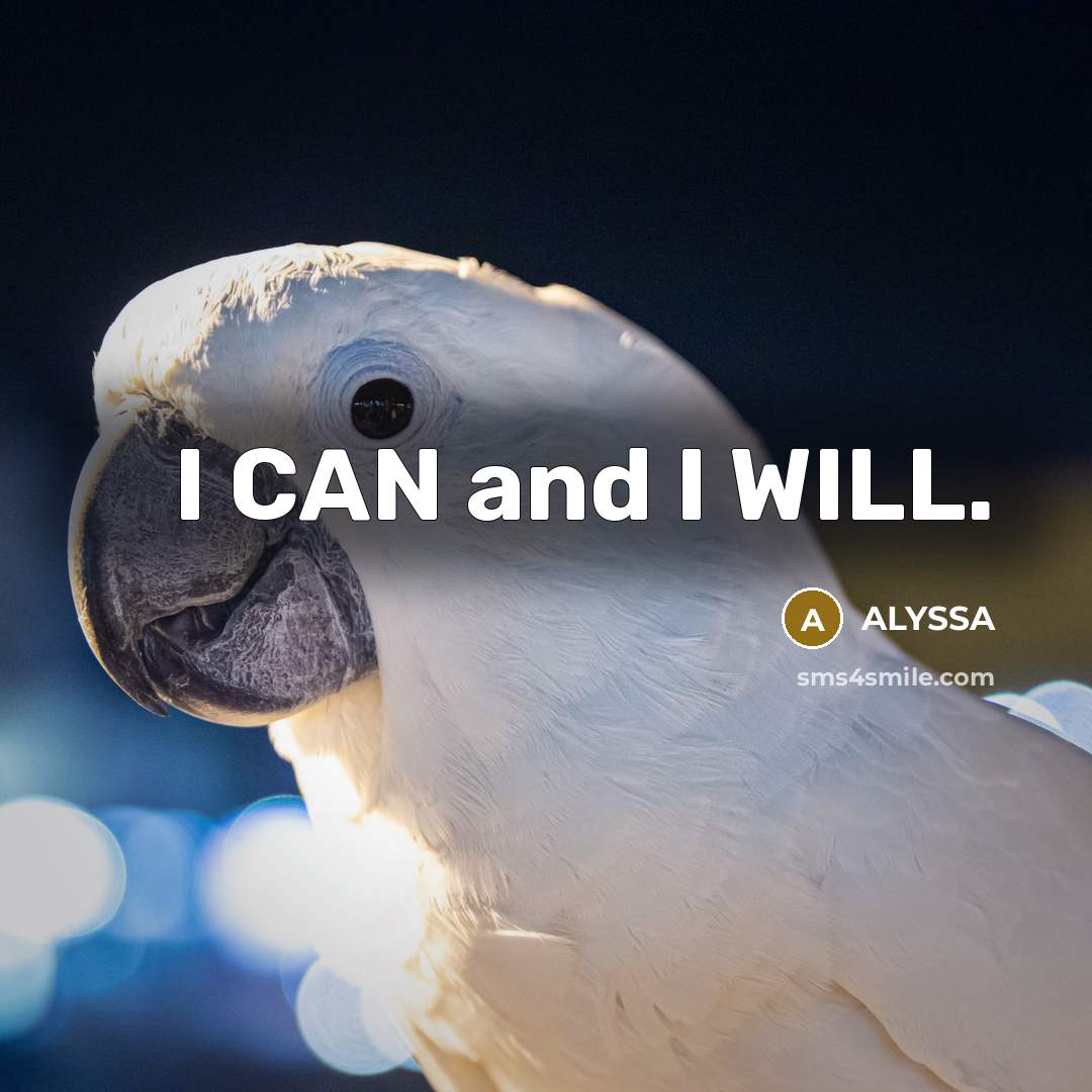 “I CAN and I WILL.…” quote by ALYSSA