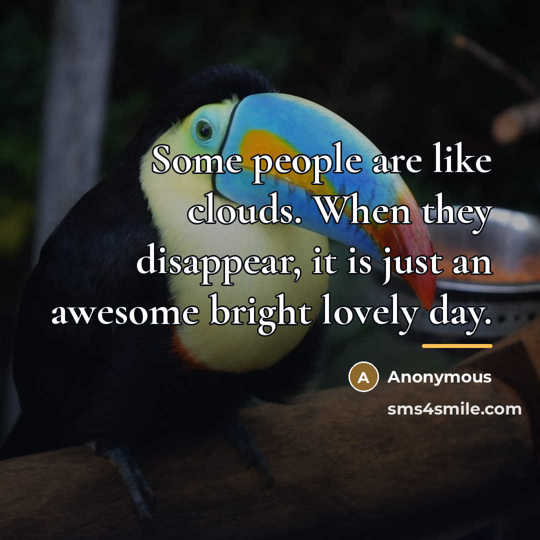 “Some people are like clouds. When they disappear, it is…” quote by Anonymous