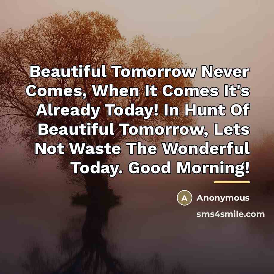 “Beautiful Tomorrow Never Comes, When It Comes It's Already Today!…” quote by Anonymous