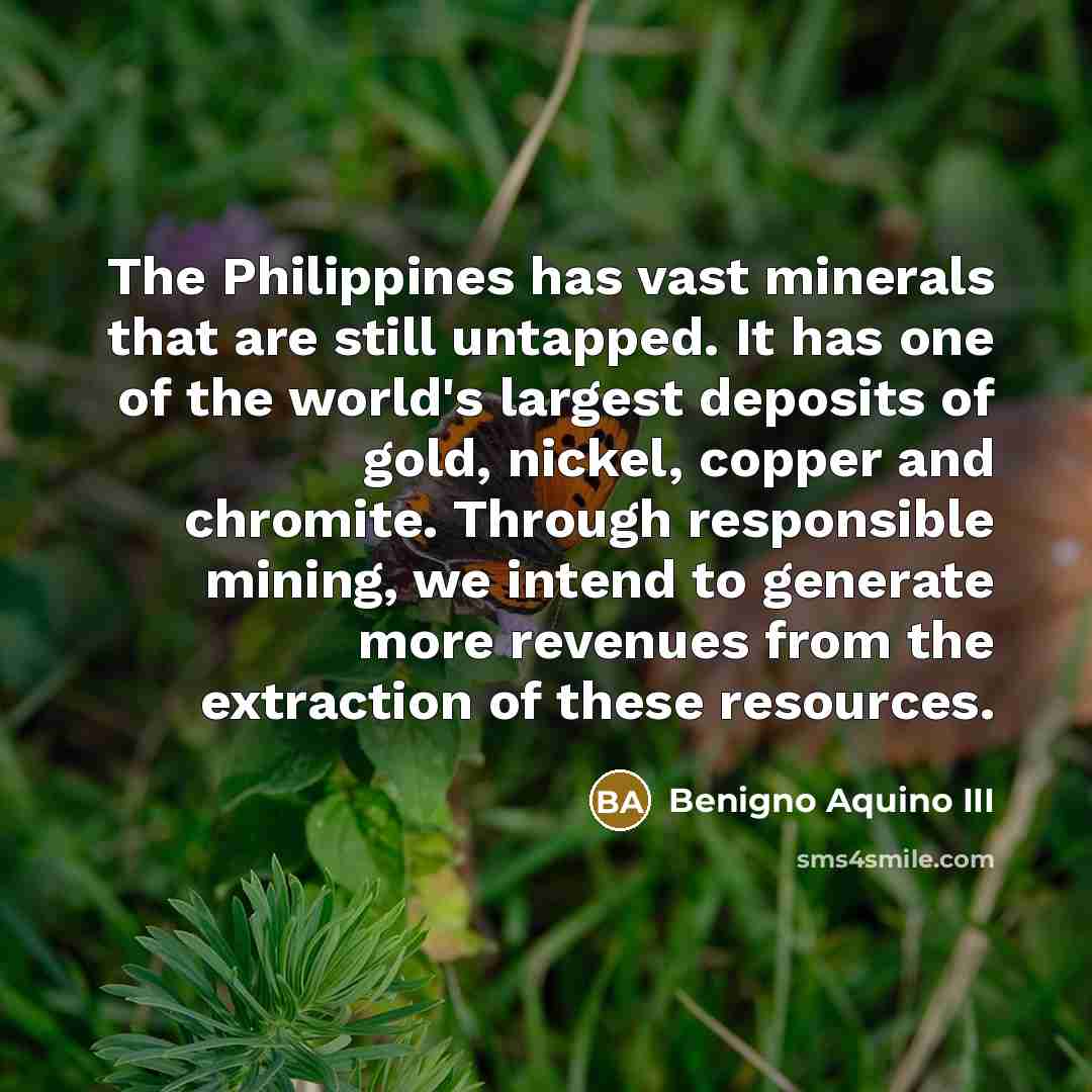 “The Philippines has vast minerals that are still untapped. It…” quote by Benigno Aquino III