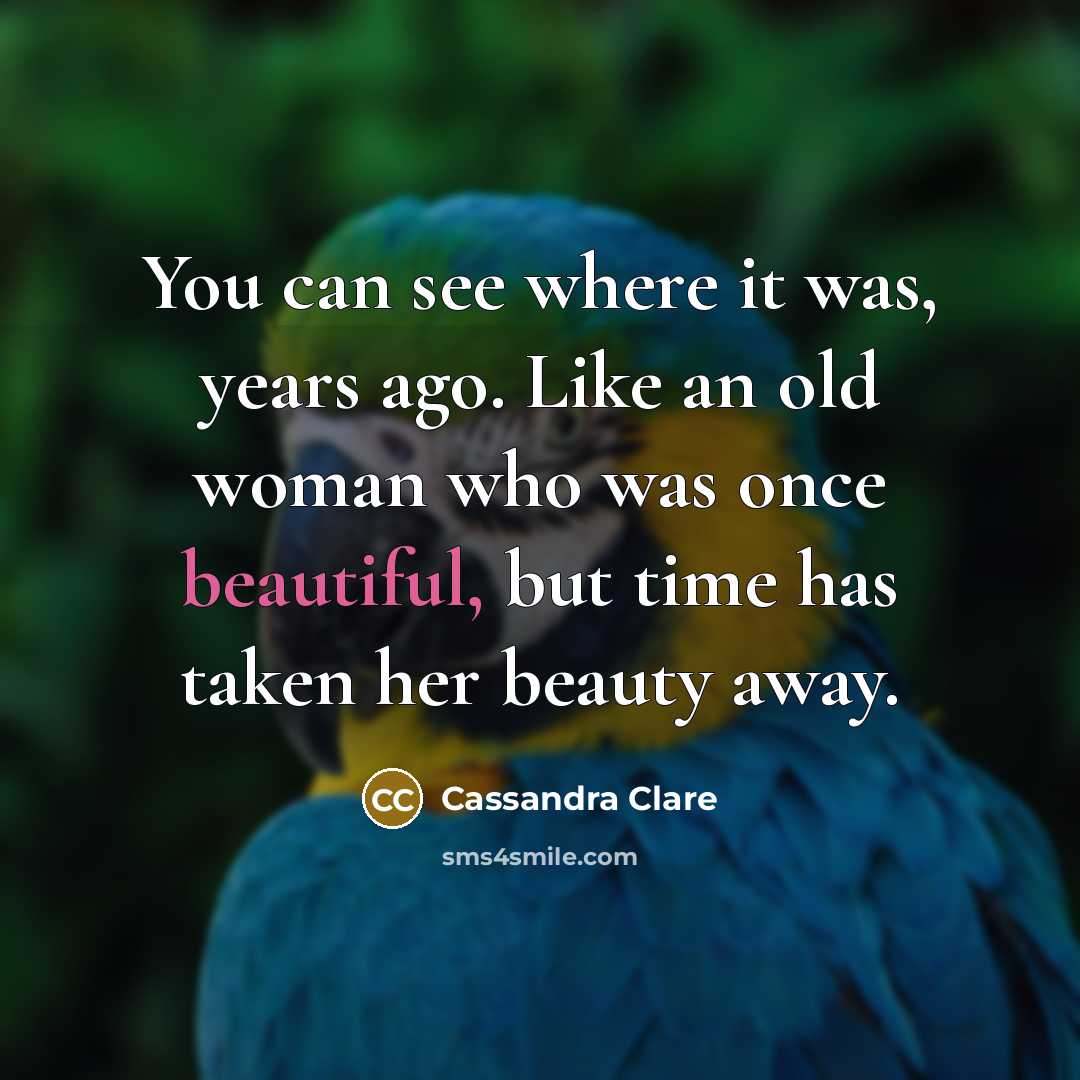 “You can see where it was, years ago. Like an…” quote by Cassandra Clare