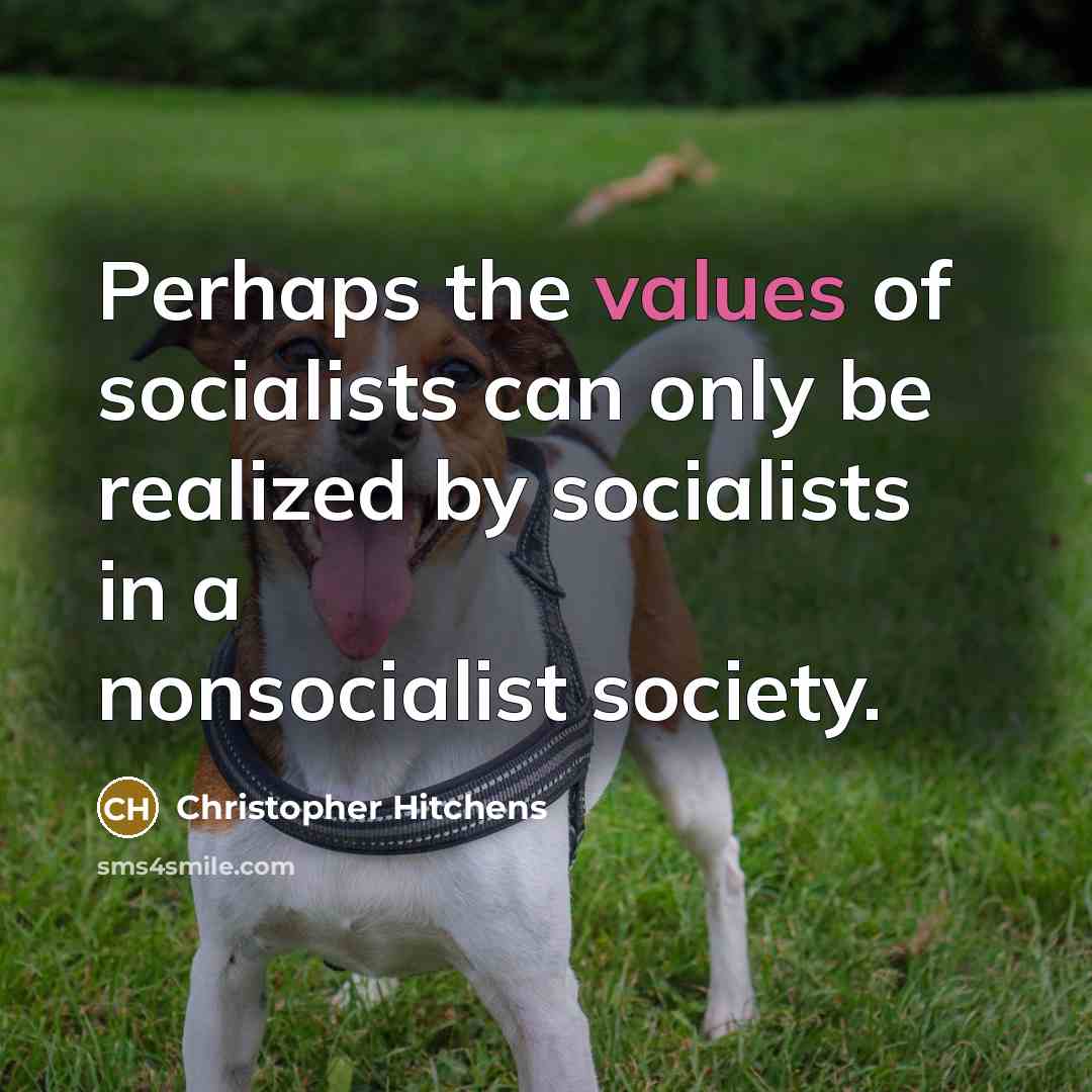 “Perhaps the values of socialists can only be realized by socialists in a nonsocialist society.” quote by Christopher Hitchens