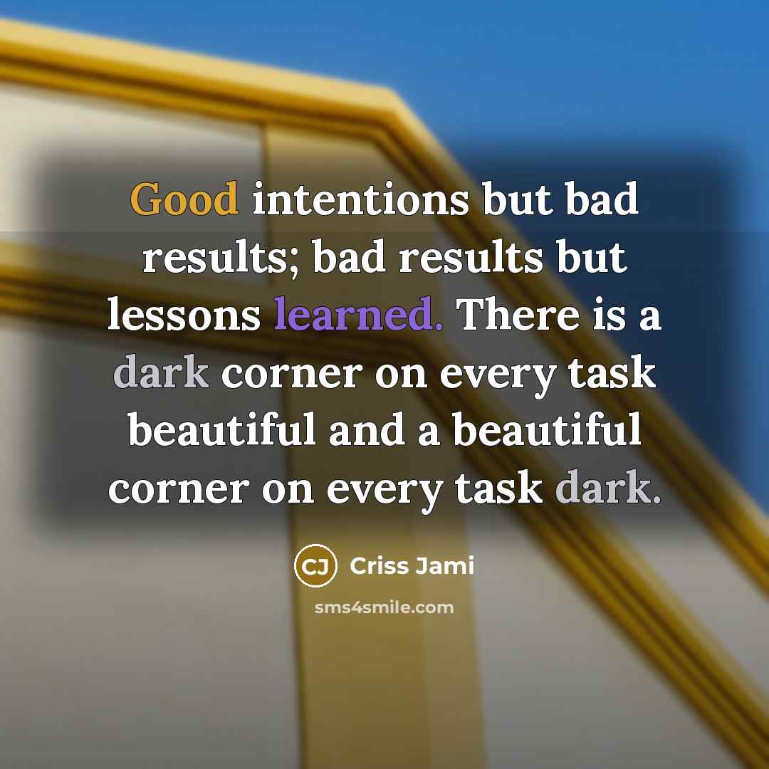 “Good intentions but bad results; bad results but lessons learned.…” quote by Criss Jami