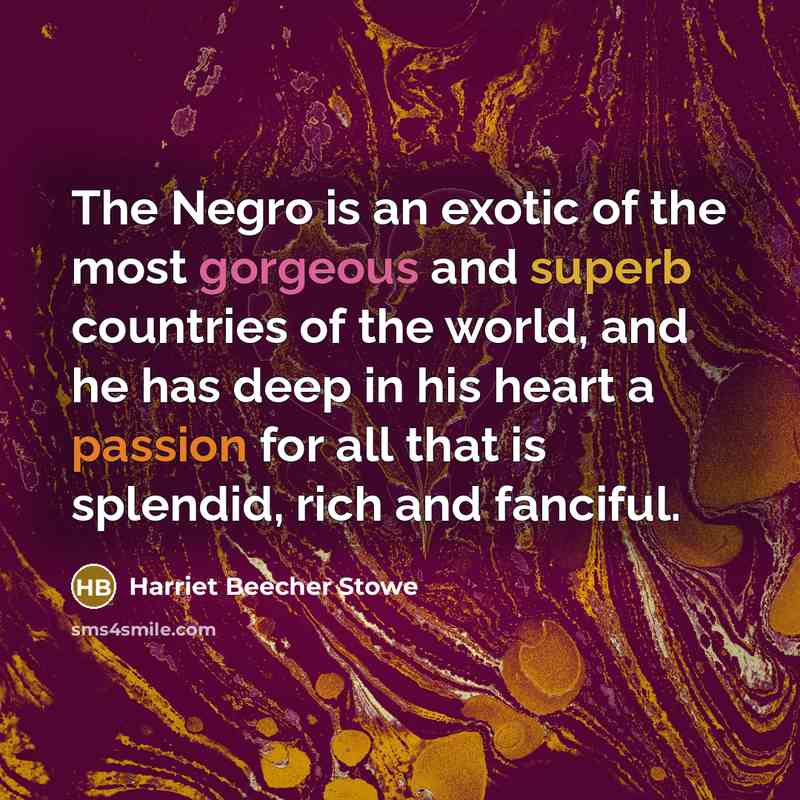 “The Negro is an exotic of the most gorgeous and…” quote by Harriet Beecher Stowe