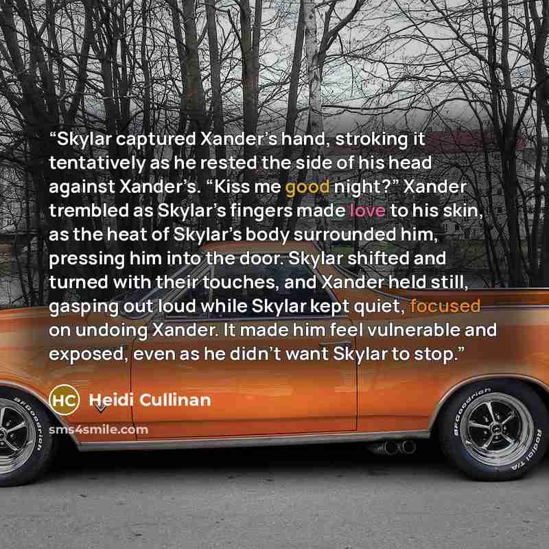 “Skylar captured Xander’s hand, stroking it tentatively as he rested the side of his head against Xander’s. “Kiss me good night?” Xander trembled as Skylar’s fingers made love to his skin, as the heat of Skylar’s body surrounded him, pressing him into the door. Skylar shifted and turned with their…” quote by Heidi Cullinan