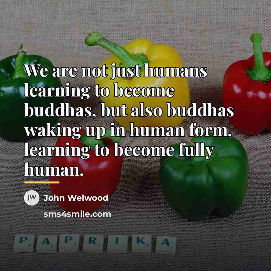 “We are not just humans learning to become buddhas, but…” quote by John Welwood