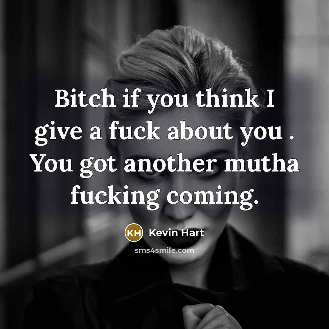 “Bitch if you think I give a fuck about you . You got another mutha fucking coming.” quote by Kevin Hart