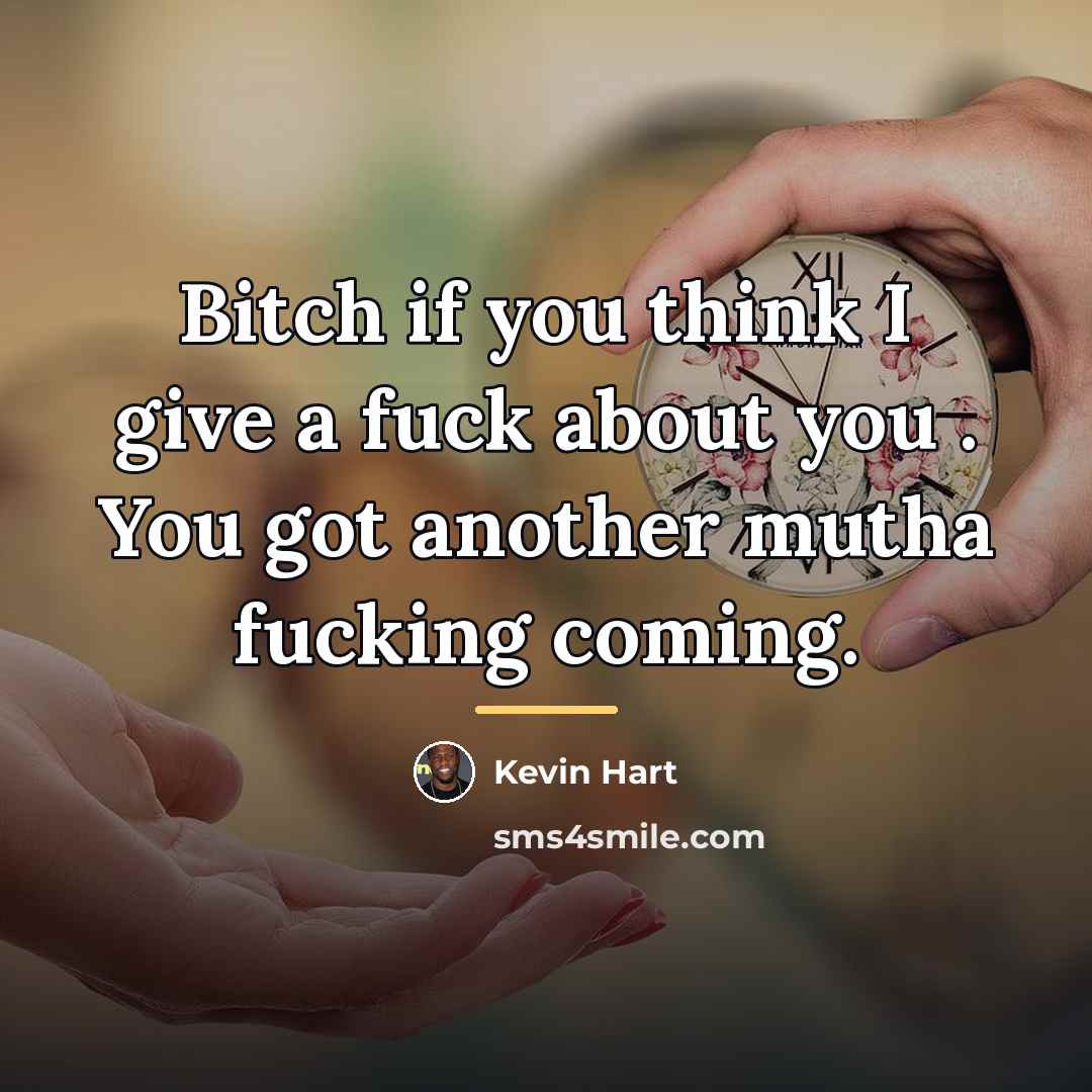 “Bitch if you think I give a fuck about you…” quote by Kevin Hart