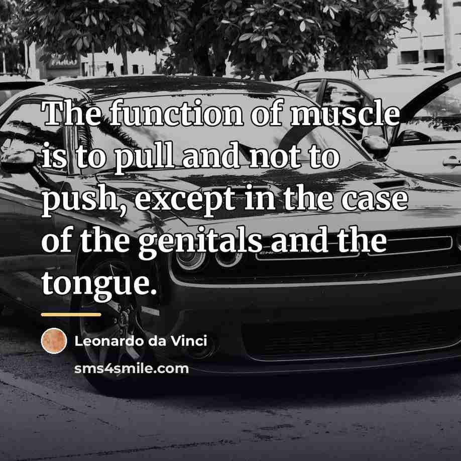 “The function of muscle is to pull and not to…” quote by Leonardo da Vinci