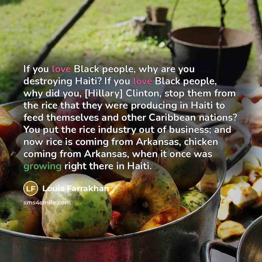 “If you love Black people, why are you destroying Haiti?…” quote by Louis Farrakhan