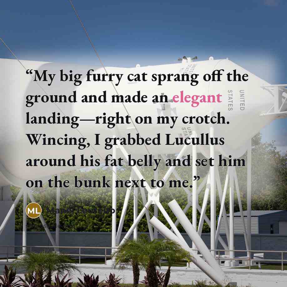 “My big furry cat sprang off the ground and made an elegant landing—right on my crotch. Wincing, I grabbed Lucullus around his fat belly and set him on the bunk next to me.” quote by Manel Loureiro